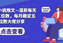小说推文—混剪每天稳定三位数，每月稳定五位数大佬分享-蜗牛学社