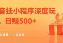 全网首次披露，抖音挂小程序深度玩法，日赚500+，简单、稳定，带渠道收入，小白必做-冒泡网