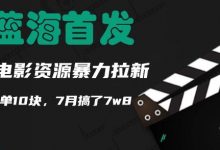 蓝海首发,靠电影资源暴力拉新,一单10块,7月搞了7w8-蜗牛学社