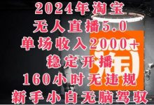 年淘宝无人直播5.0,单场收入2k+,稳定开播160小时无违规,新手小白无脑驾驭-蜗牛学社