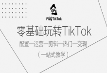 零基础玩转TikTok，配置一运营一剪辑一热门一变现，一站式教学-蜗牛学社
