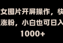 美女图片开屏操作，快速涨粉，小白也可日入1k-蜗牛学社