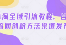 小淘全域引流教程，自用引流网创粉方法渠道发布-蜗牛学社