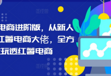 小红书电商进阶版，从新人进阶小红薯电商大佬，全方位玩透红薯电商-蜗牛学社
