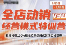 全店动销经营模式特训营，指哪打哪100%精准拉新保姆式起店实操课程-蜗牛学社