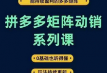 拼多多矩阵动销系列课，能持续盈利的多多矩阵，0基础也听得懂，玩法持续更新-蜗牛学社