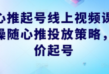 随心推起号线上视频课，实操随心推投放策略，正价起号-蜗牛学社