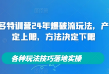 拼多多特训营24年爆破流玩法，产品决定上限，方法决定下限，各种玩法技巧落地实操-蜗牛学社