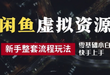 最新闲鱼虚拟资源玩法,养号到出单整套流程,多管道收益,每天2小时月收入过万-蜗牛学社