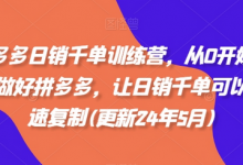 拼多多日销千单训练营，从0开始带你做好拼多多，让日销千单可以快速复制(更新24年8月)-蜗牛学社