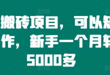 手机搬砖项目，可以矩阵化操作，新手一个月轻松5000多-蜗牛学社