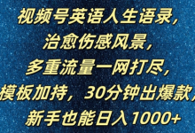 视频号英语人生语录，多重流量一网打尽，模板加持，30分钟出爆款，新手也能日入1000+-蜗牛学社