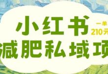 小红书减肥粉，私域变现项目，一单就达210元，小白也能轻松上手-蜗牛学社