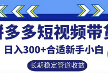 拼多多短视频带货日入300+有长期稳定被动收益，合适新手小白-蜗牛学社