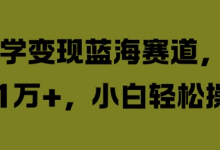 国学变现蓝海赛道，月入1W+，小白轻松操作-蜗牛学社