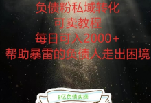 负债粉掘金计划，帮助负债者解决问题，债务规划，债务重组，最好的变现方式-蜗牛学社