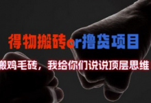 得物搬砖撸货项目?掰下数据，我给你们说说顶层思维-蜗牛学社