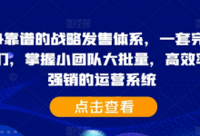 靠谱的战略发售体系，一套完整的助IP们，掌握小团队大批量，高效率，0 强销的运营系统-蜗牛学社