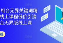 万相台无界关键词精准人群线上课程低价引流 ，万象台无界版线上课-蜗牛学社