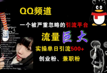 QQ频道，一个被严重忽略的引流平台，流量巨大 实操单日引流500+创业粉兼职粉-蜗牛学社