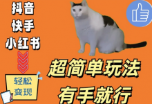 超简单玩法，有手就行，靠猫咪视频日入500+-蜗牛学社