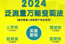 创业变现教学，泛流量万能变现法，适合普通人的轻质产创业项目-蜗牛学社