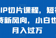 明星IP切片课程，短视频带货新风向，小白也能月入过万-蜗牛学社