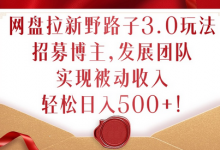 网盘拉新野路子3.0玩法，招募博主，发展团队，实现被动收入，轻松日入500+-蜗牛学社