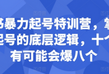 小红书暴力起号特训营，掌握小红书起号的底层逻辑，十个帖真有可能会爆八个-蜗牛学社