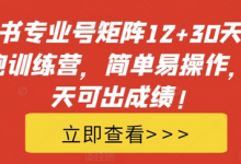 小红书专业号矩阵12+30天引流陪跑训练营，简单易操作，15天可出成绩!-蜗牛学社