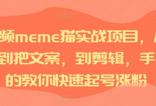 短视频meme猫实战项目，从选素材到把文案，到剪辑，手把手的教你快速起号涨粉-蜗牛学社