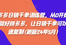 拼多多日销千单训练营，从0开始带你做好拼多多，让日销千单可以快速复制(更新24年10月)-蜗牛学社