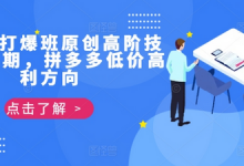 拼多多打爆班原创高阶技术第39期，拼多多低价高利方向-蜗牛学社