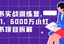 小红书实战训练营，从0到1，6000万小红书项目拆解-蜗牛学社