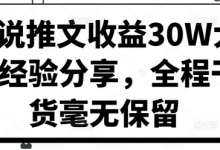 小说推文收益30W大佬经验分享，全程干货毫无保留-蜗牛学社