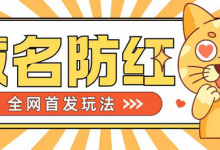 0基础搭建域名防红告别被封风险，学会可对外接单，一单收200+-蜗牛学社