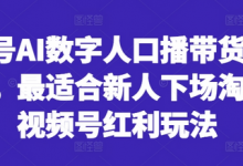 视频号AI数字人口播带货风口项目,最适合新人下场淘金的视频号红利玩法-蜗牛学社