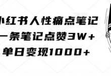 小红书人性痛点笔记，一条笔记点赞3W+，单日变现1k-蜗牛学社