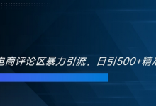 双十一电商评论区暴力引流，日引500+精准创业粉-蜗牛学社