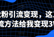 创业粉引流变现，这三种引流方法给我变现3W+-蜗牛学社