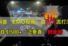 抖音EMO视频自热打法，日引500+“泛垂直”创业粉-蜗牛学社