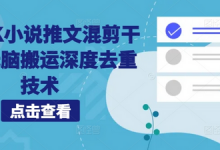 海外TK小说推文混剪干货，无脑搬运深度去重技术-蜗牛学社