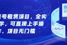 游戏账号租赁项目,全实操教学,可直接上手操作,项目无门槛-冒泡网