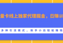 流量卡线上独家代理掘金，日入1k+ ，多种引流模式，新手小白轻松上手-蜗牛学社