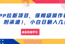 APP拉新项目,保姆级操作教程(附渠道),小白日躺入几张-冒泡网