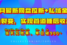 11月最新网盘拉新+私域全自动裂变，实现管道睡后收益，当天见效果，单日破900+-蜗牛学社