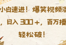 小白速进，爆笑视频混剪，日入3张，百万播放轻松破-蜗牛学社