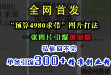 小红书“预算4980带我飞”图片打法,一张图片引爆创业粉,私信回不完,单条引流300+精准创业粉-冒泡网