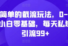 简单的截流玩法，0-1小白零基础，每天私域引流99+-蜗牛学社