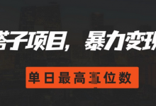 搭子玩法，0门槛，暴力变现，单日最高破四位数-蜗牛学社